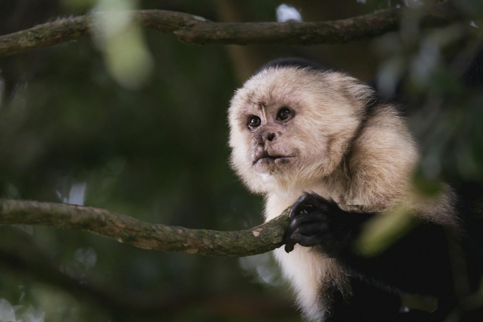 best-countries-for-adventure-travel-3-costa-rica