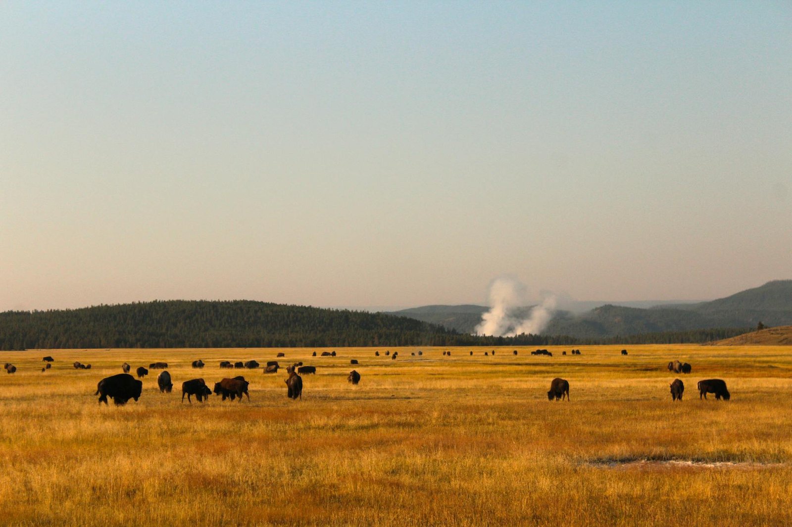 best-countries-for-national-parks-1-united-states