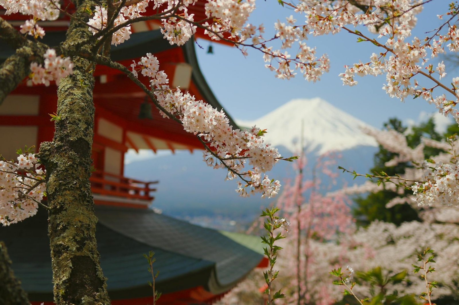 best-countries-for-national-parks-10-japan