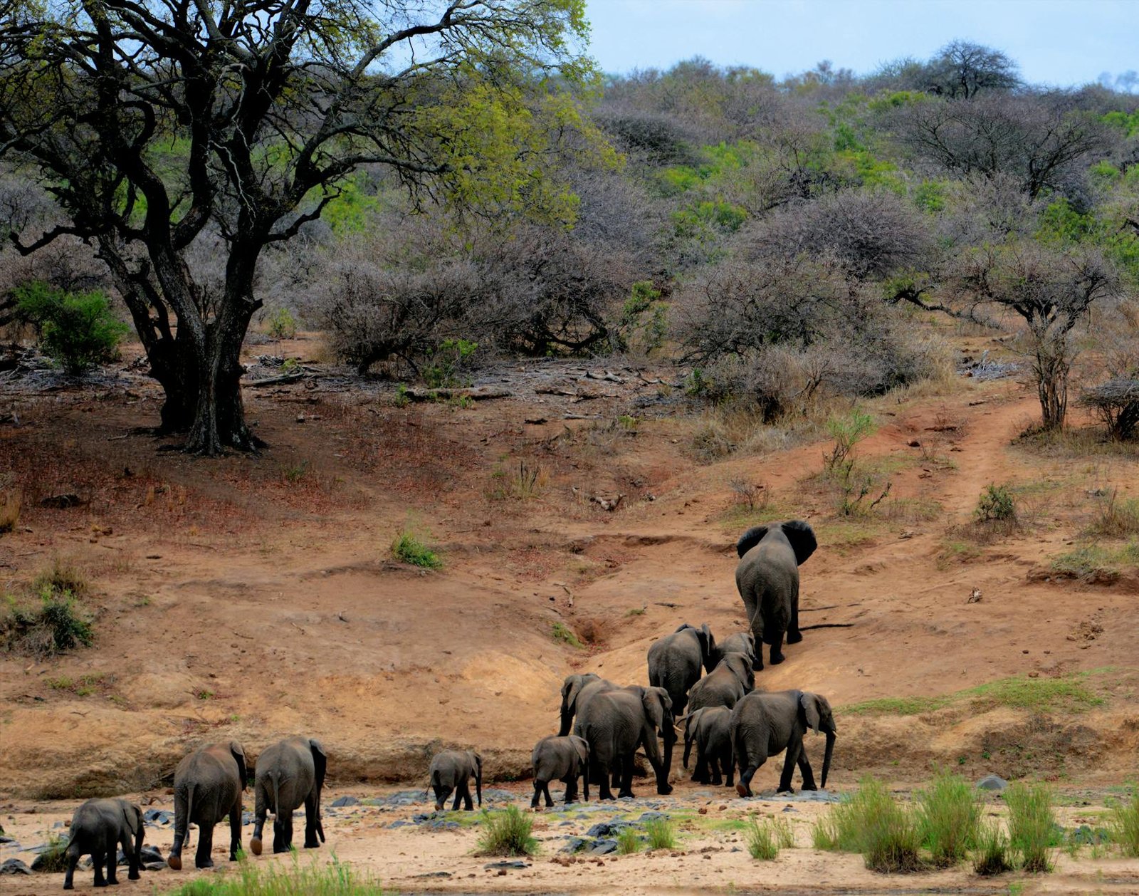 best-countries-for-national-parks-6-south-africa