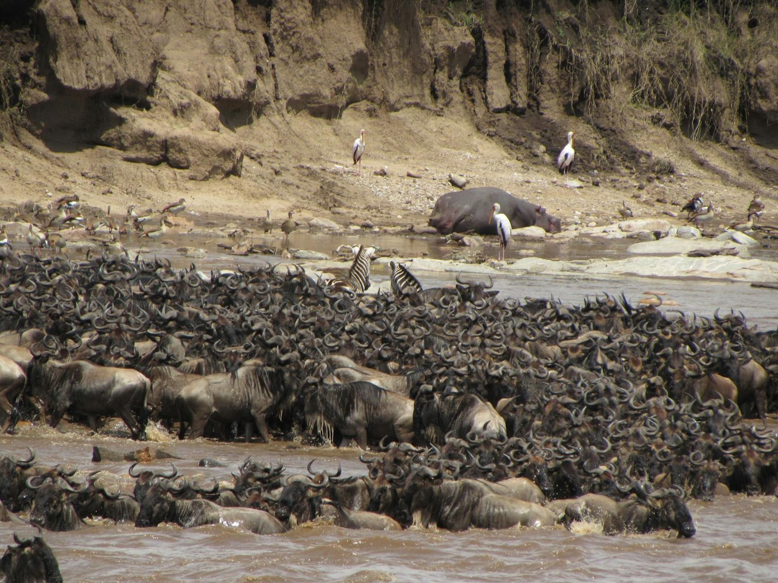 best-countries-for-national-parks-9-tanzania