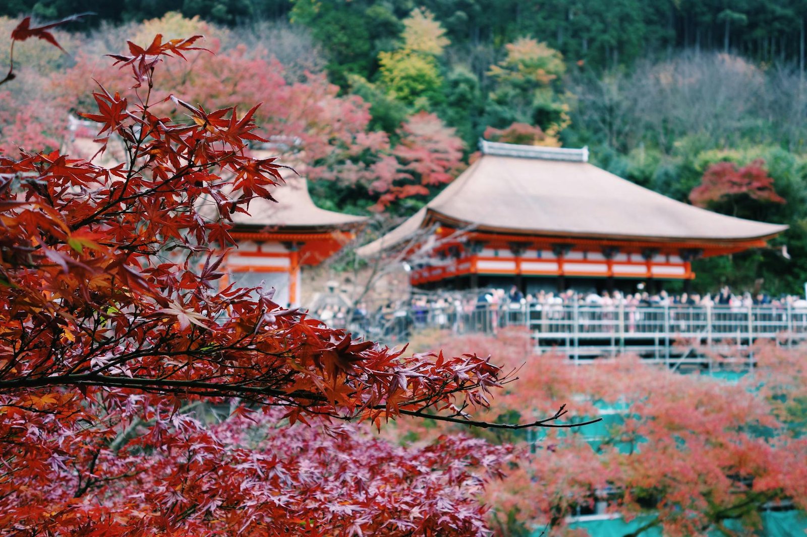 best-countries-to-visit-in-autumn-1-japan