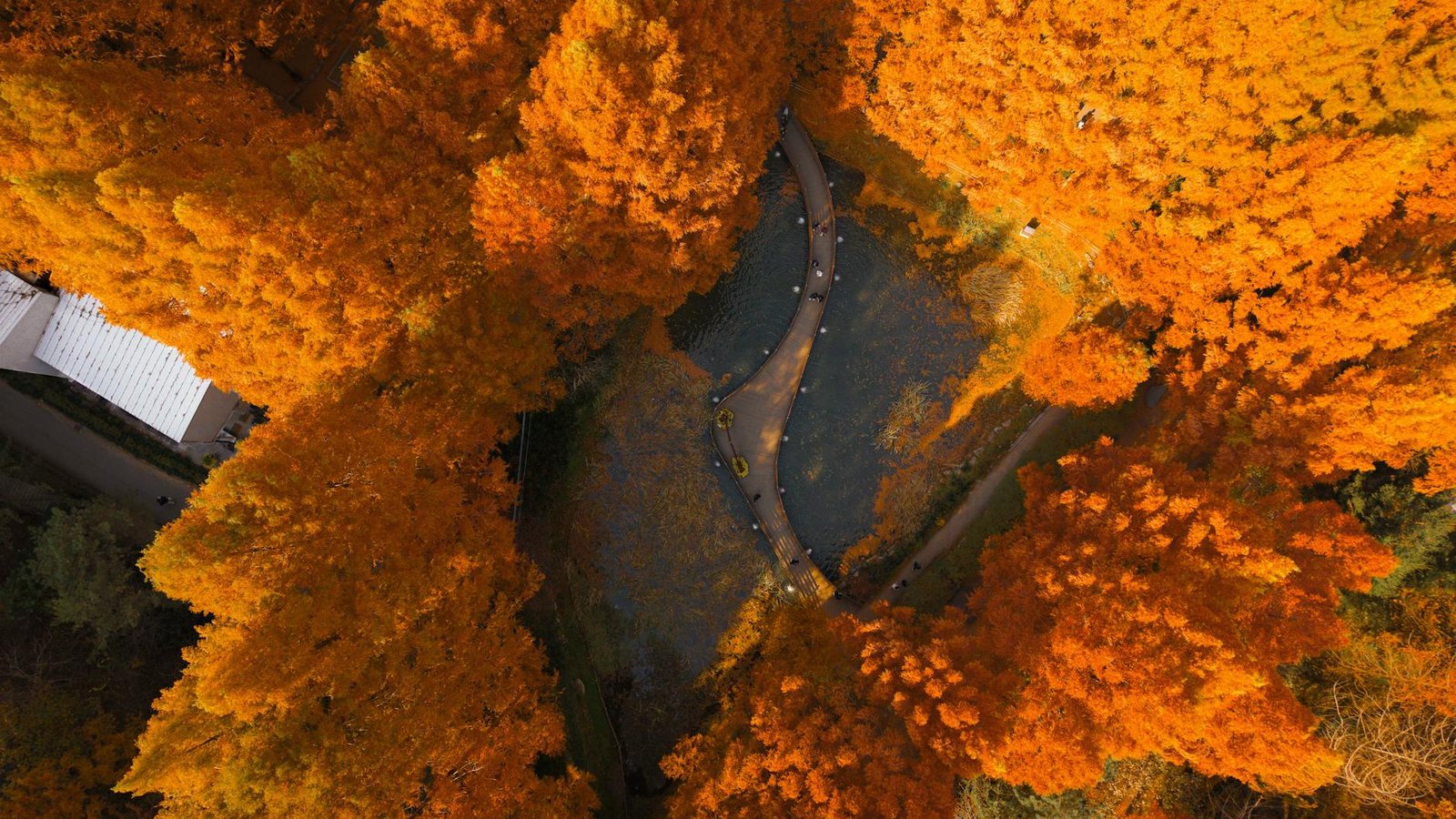 best-countries-to-visit-in-autumn-4-south-korea
