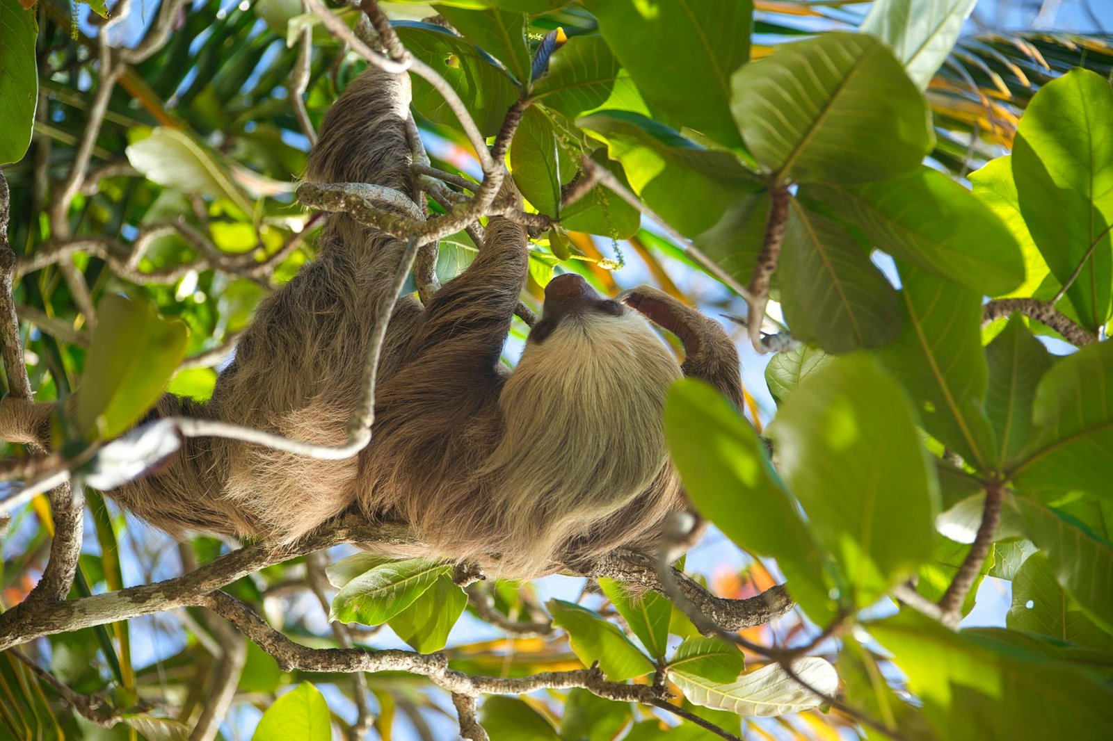 best-countries-to-visit-in-january-4-costa-rica